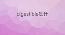 digestible是什么意思 digestible的翻译、读音、例句、中文解释