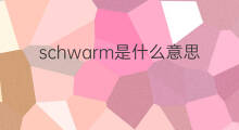 schwarm是什么意思 schwarm的翻译、读音、例句、中文解释