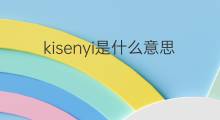 kisenyi是什么意思 kisenyi的翻译、读音、例句、中文解释
