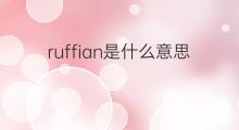 ruffian是什么意思 ruffian的翻译、读音、例句、中文解释