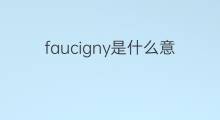 faucigny是什么意思 faucigny的翻译、读音、例句、中文解释