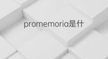 promemoria是什么意思 promemoria的翻译、读音、例句、中文解释