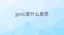 jpnic是什么意思 jpnic的翻译、读音、例句、中文解释