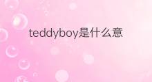 teddyboy是什么意思 teddyboy的翻译、读音、例句、中文解释