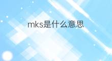 mks是什么意思 mks的翻译、读音、例句、中文解释