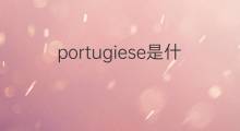 portugiese是什么意思 portugiese的翻译、读音、例句、中文解释