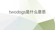 twodogs是什么意思 twodogs的翻译、读音、例句、中文解释