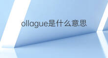 ollague是什么意思 ollague的翻译、读音、例句、中文解释