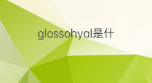 glossohyal是什么意思 glossohyal的翻译、读音、例句、中文解释