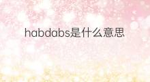 habdabs是什么意思 habdabs的翻译、读音、例句、中文解释