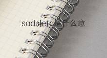 sadoleto是什么意思 sadoleto的翻译、读音、例句、中文解释