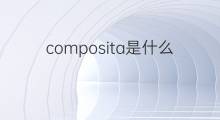 composita是什么意思 composita的翻译、读音、例句、中文解释