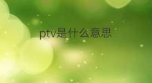 ptv是什么意思 ptv的翻译、读音、例句、中文解释