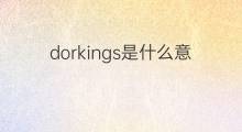 dorkings是什么意思 dorkings的翻译、读音、例句、中文解释
