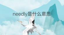 needly是什么意思 needly的翻译、读音、例句、中文解释