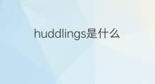 huddlings是什么意思 huddlings的翻译、读音、例句、中文解释