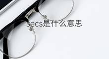 secs是什么意思 secs的翻译、读音、例句、中文解释