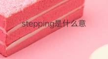 stepping是什么意思 stepping的翻译、读音、例句、中文解释