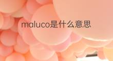 maluco是什么意思 maluco的翻译、读音、例句、中文解释