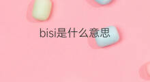 bisi是什么意思 bisi的翻译、读音、例句、中文解释