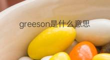 greeson是什么意思 greeson的翻译、读音、例句、中文解释