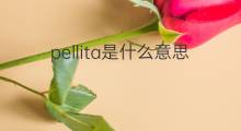 pellita是什么意思 pellita的翻译、读音、例句、中文解释