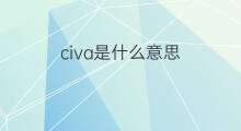 civa是什么意思 civa的翻译、读音、例句、中文解释