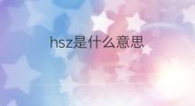 hsz是什么意思 hsz的翻译、读音、例句、中文解释