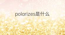 polarizes是什么意思 polarizes的翻译、读音、例句、中文解释