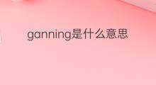 ganning是什么意思 ganning的翻译、读音、例句、中文解释