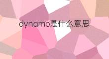 dynamo是什么意思 dynamo的翻译、读音、例句、中文解释