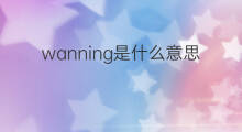wanning是什么意思 wanning的翻译、读音、例句、中文解释
