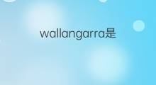 wallangarra是什么意思 wallangarra的翻译、读音、例句、中文解释