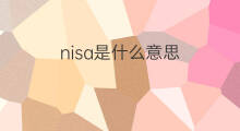 nisa是什么意思 nisa的翻译、读音、例句、中文解释