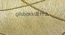 gilsbakki是什么意思 gilsbakki的翻译、读音、例句、中文解释