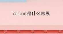 adonit是什么意思 adonit的翻译、读音、例句、中文解释