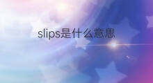 slips是什么意思 slips的翻译、读音、例句、中文解释