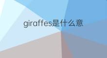 giraffes是什么意思 giraffes的翻译、读音、例句、中文解释