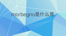 morbegno是什么意思 morbegno的翻译、读音、例句、中文解释