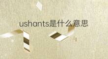 ushants是什么意思 ushants的翻译、读音、例句、中文解释