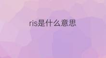 ris是什么意思 ris的翻译、读音、例句、中文解释