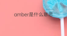 amber是什么意思 amber的翻译、读音、例句、中文解释