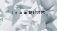 thebrain是什么意思 thebrain的翻译、读音、例句、中文解释