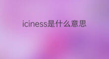 iciness是什么意思 iciness的翻译、读音、例句、中文解释