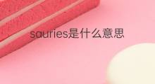 sauries是什么意思 sauries的翻译、读音、例句、中文解释