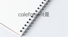 calefacient是什么意思 calefacient的翻译、读音、例句、中文解释