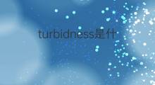 turbidness是什么意思 turbidness的翻译、读音、例句、中文解释