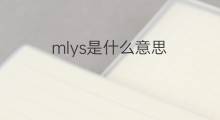 mlys是什么意思 mlys的翻译、读音、例句、中文解释