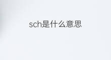 sch是什么意思 sch的翻译、读音、例句、中文解释
