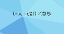 bracon是什么意思 bracon的翻译、读音、例句、中文解释